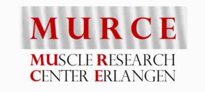 Logo of the Muscle Research Center Erlangen